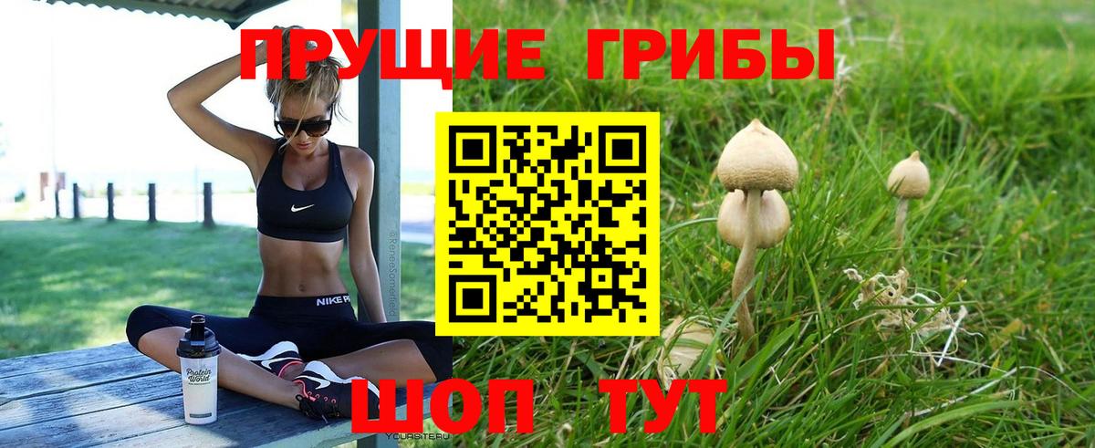 Новоуральск  Псилоцибиновые грибы прущие грибы  Вход с VPN 